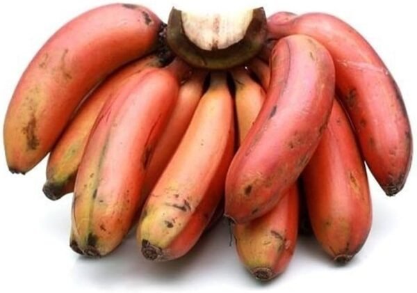 Banana Red Poovan (India) - 500 gm